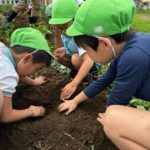 土の中にはお宝いっぱい!🍠