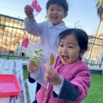 ❄️✨ザクザク！氷のふしぎ